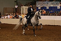 08r12_1628 proof