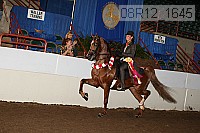 08r12_1645 proof