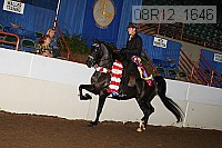 08r12_1646 proof