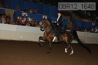 08r12_1648 proof