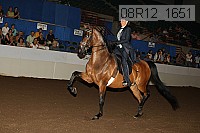 08r12_1651 proof