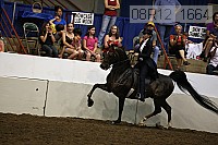 08r12_1664 proof
