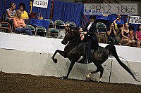 08r12_1665 proof