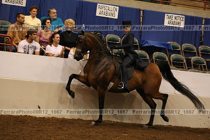 Proof 08r12_1667