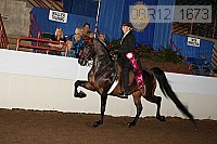 08r12_1673 proof