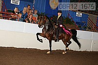 08r12_1675 proof