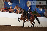 08r12_1678 proof