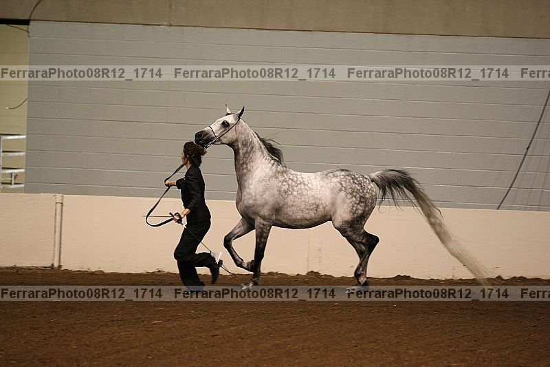 Proof 08r12_1714
