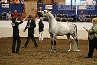 08r12_1725 proof