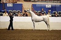 08r12_1728 proof