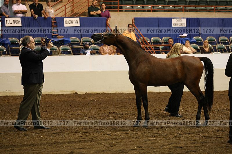 Proof 08r12_1737