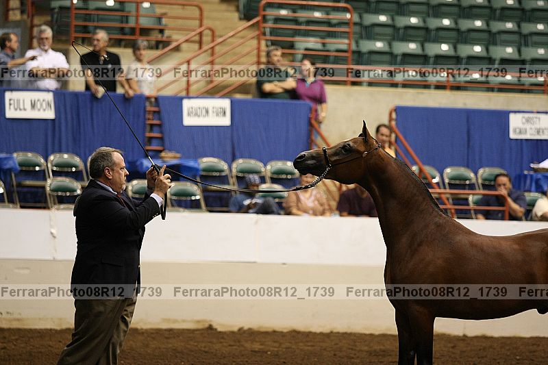 Proof 08r12_1739