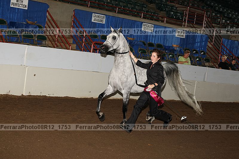 Proof 08r12_1753