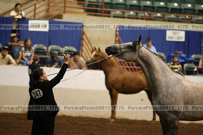 Proof 08r12_1770