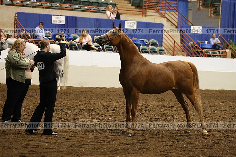 Proof 08r12_1774
