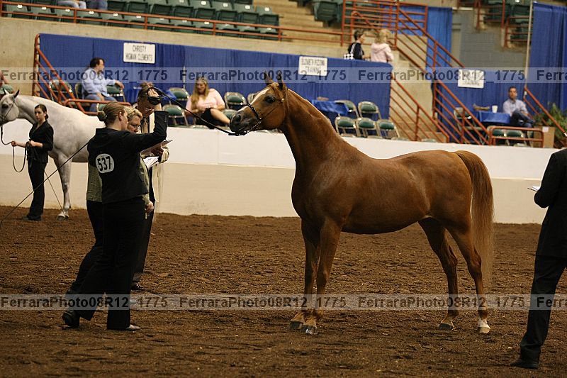 Proof 08r12_1775