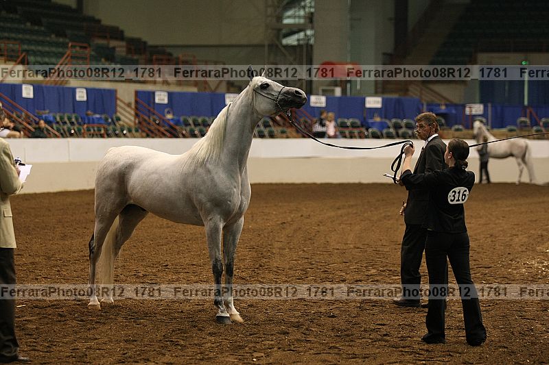 Proof 08r12_1781