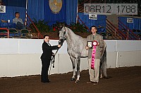 08r12_1788 proof