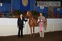 08r12_1796 proof