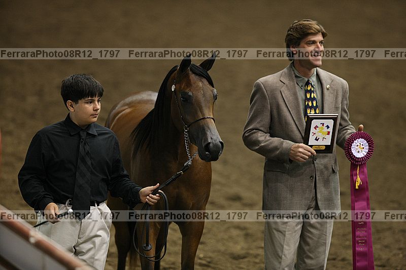Proof 08r12_1797