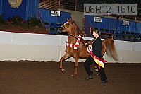 08r12_1810 proof
