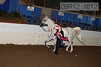 08r12_1812 proof