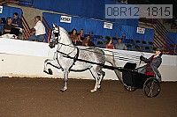08r12_1815 proof