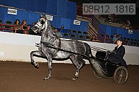 08r12_1816 proof