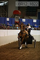 08r12_1822 proof