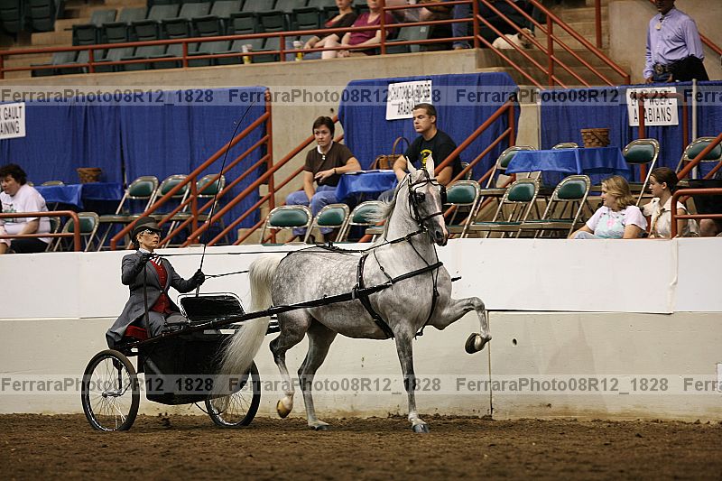 Proof 08r12_1828