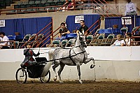 08r12_1828 proof