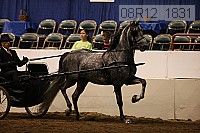 08r12_1831 proof