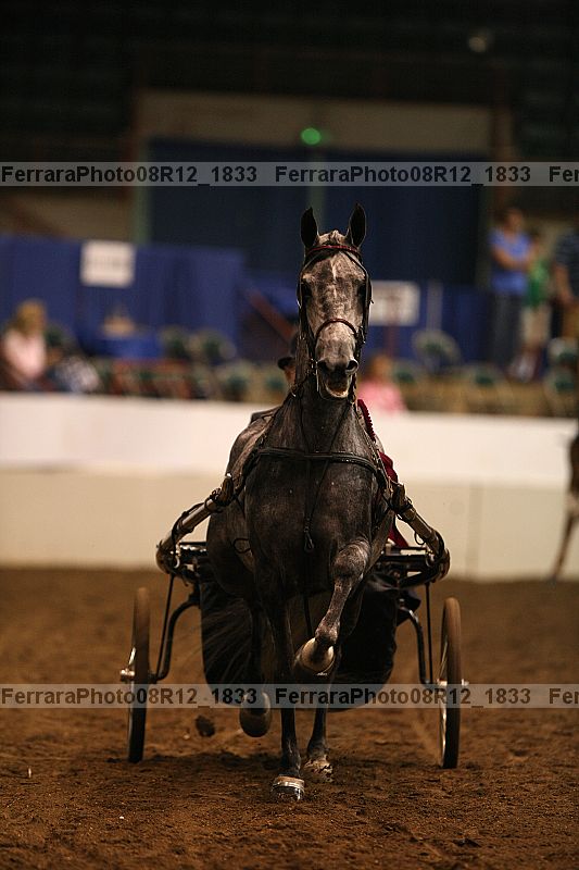 Proof 08r12_1833
