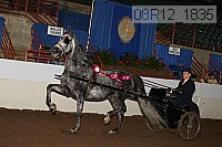08r12_1835 proof