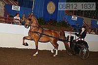 08r12_1837 proof