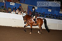 08r12_1852 proof