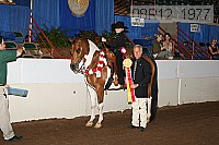 08r12_1977 proof