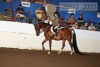 08r12_2003 proof