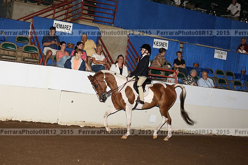 Proof 08r12_2015