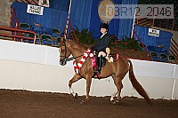 08r12_2046 proof