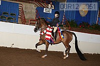 08r12_2051 proof
