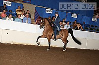 08r12_2055 proof