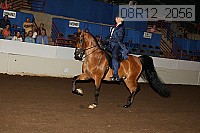 08r12_2056 proof