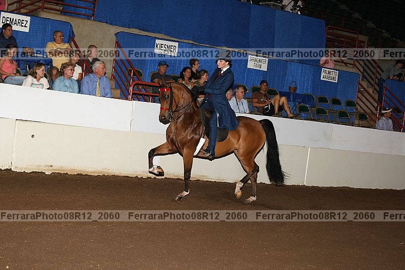 Proof 08r12_2060
