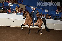08r12_2061 proof