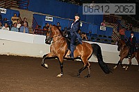 08r12_2062 proof