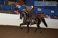 08r12_2063 proof