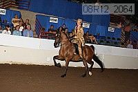 08r12_2064 proof