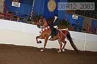 08r12_2083 proof