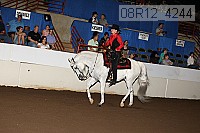 08r12_4244 proof